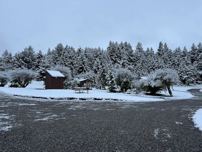 Rambling Moose Campground Picture 9