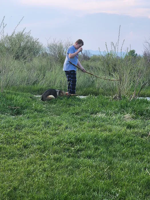 Valley Garden Campground Picture 6