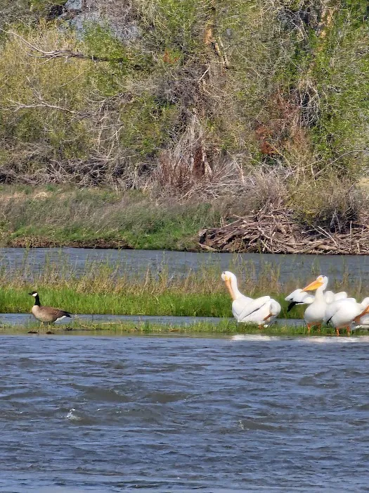 Valley Garden Campground Picture 10
