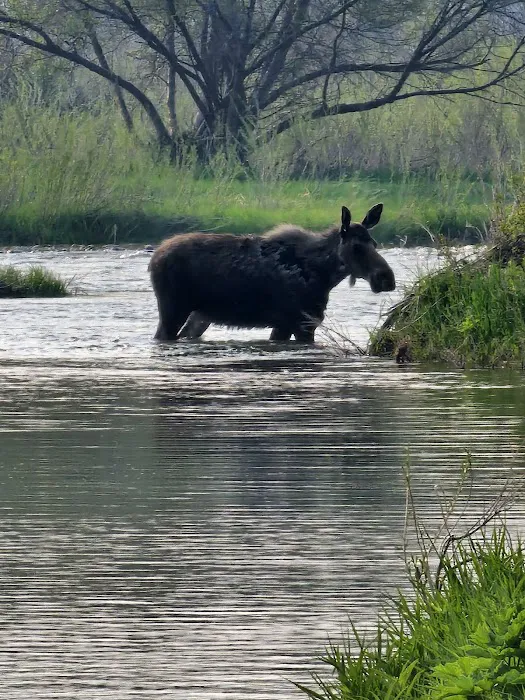 Valley Garden Campground Picture 7