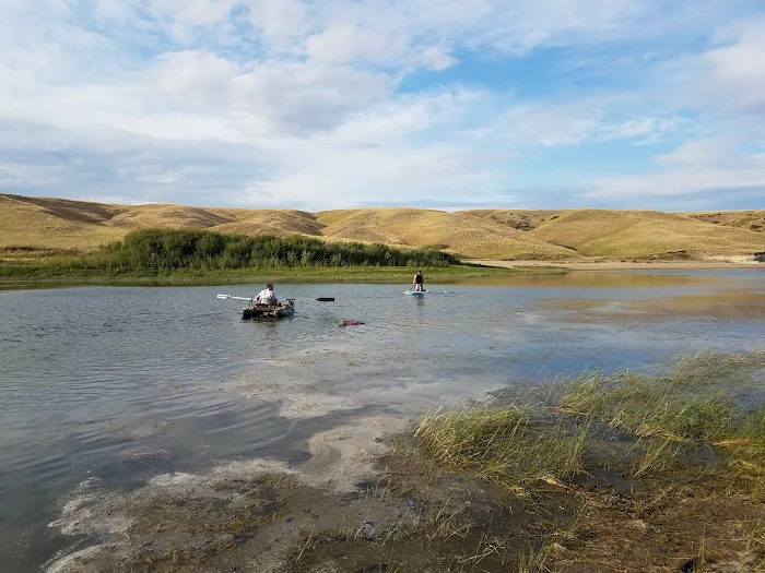 Harrison Lake Campground Picture 8