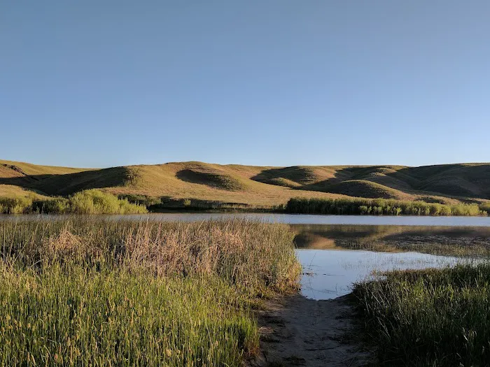 Harrison Lake Campground Picture 6