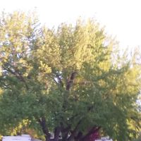 Eden Springs Park RV Campground ico