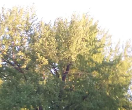 Eden Springs Park RV Campground