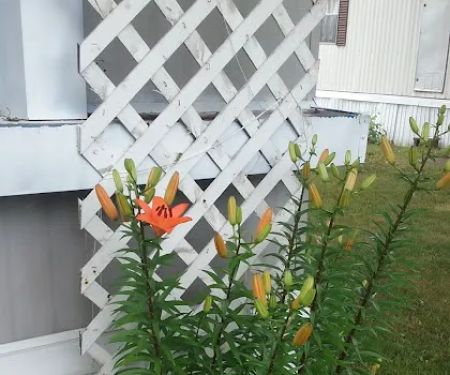 Orchard View Estates