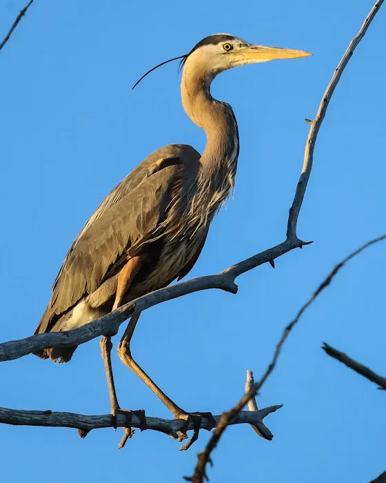White Earth Campground Picture 3