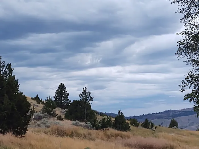 Hellgate Group Campground Picture 2