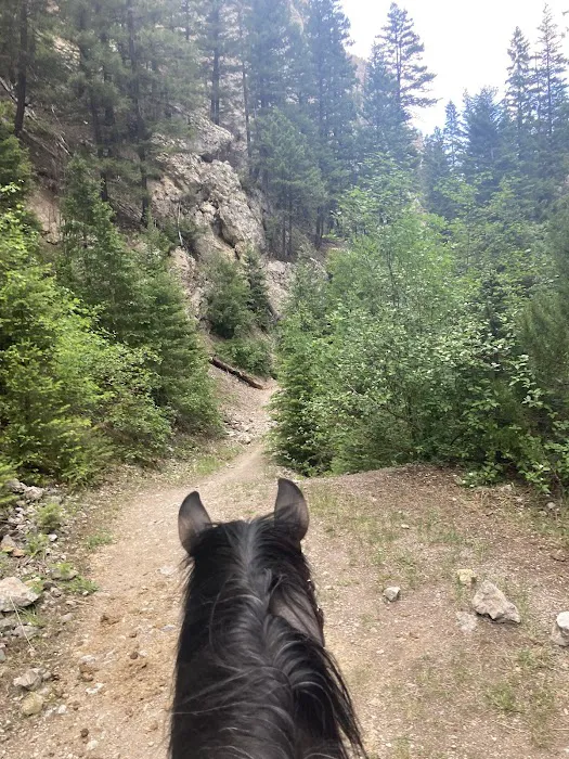 Vigilante Campground Picture 1