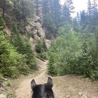 Vigilante Campground ico