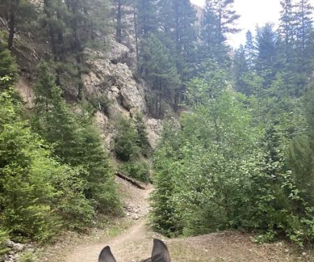 Vigilante Campground