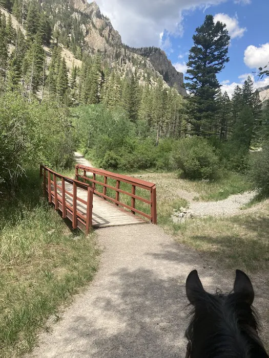 Vigilante Campground Picture 6