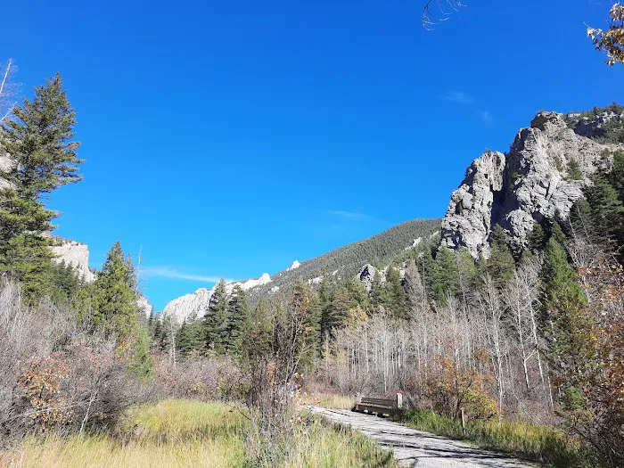 Vigilante Campground Picture 8