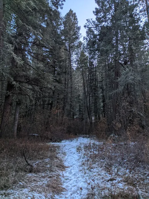 Vigilante Campground Picture 9