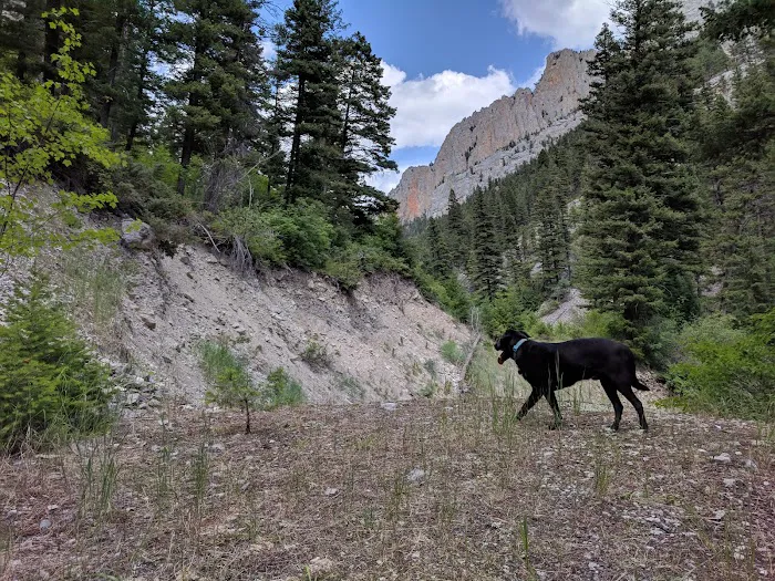 Vigilante Campground Picture 3