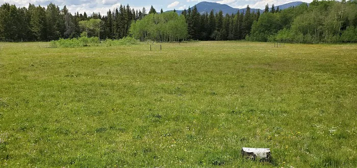 Pike Gulch Campground Picture 10