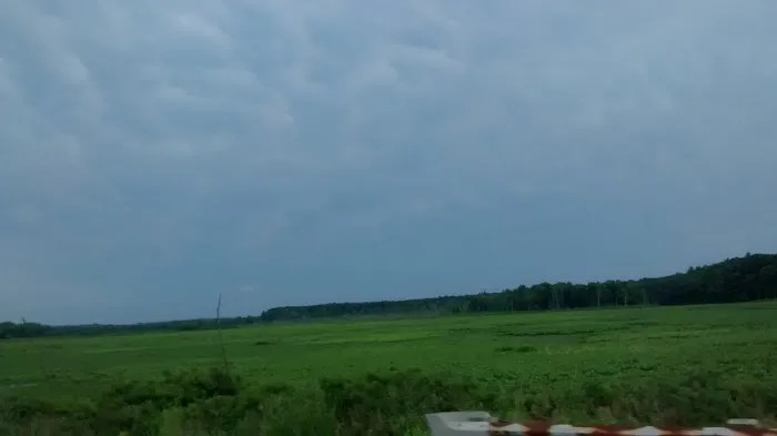 Dogwood Manor Picture 1