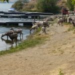 Jensen's RV Park & Motel