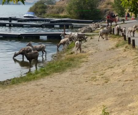 Jensen's RV Park & Motel