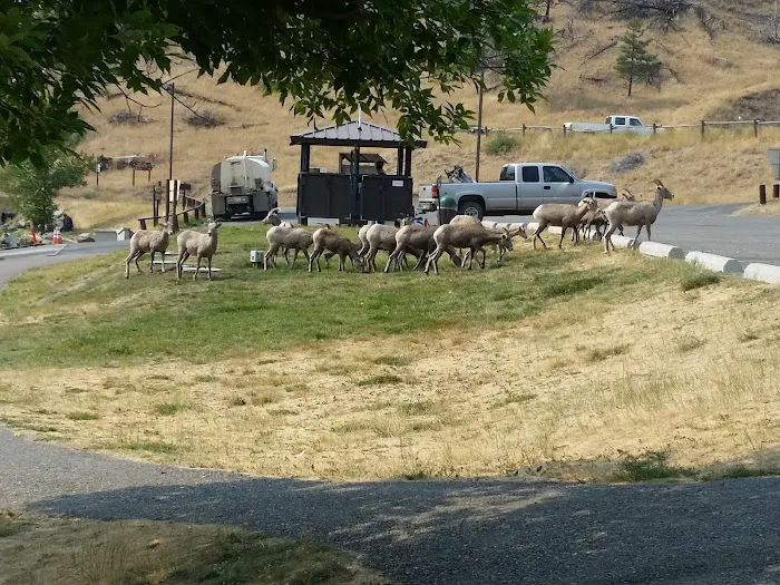 Jensen's RV Park & Motel Picture 5