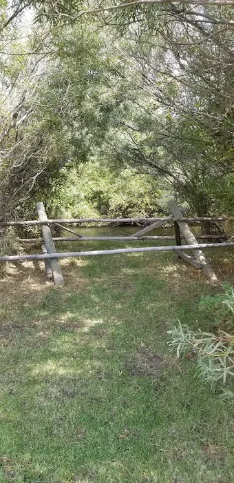 McFarland Campground Picture 3