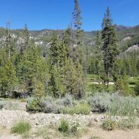 Eightmile Campground ico