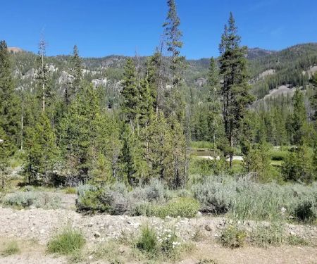 Eightmile Campground