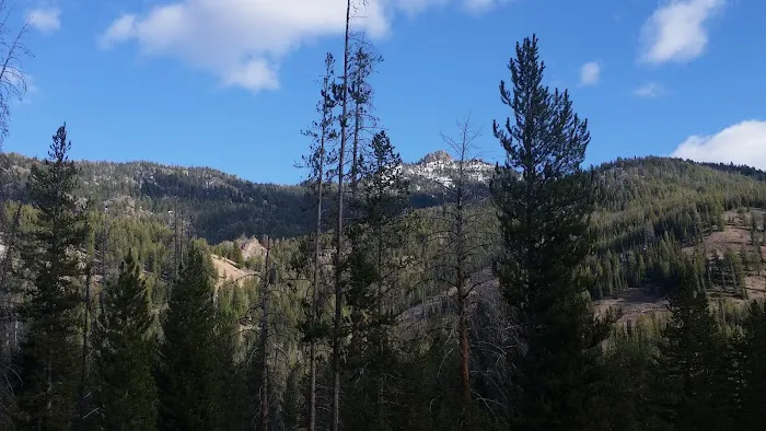 Eightmile Campground Picture 4
