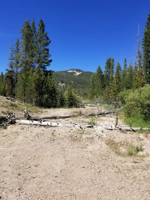 Eightmile Campground Picture 9
