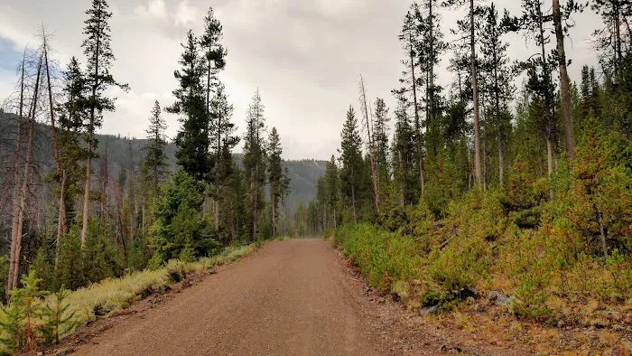 Eightmile Campground Picture 7