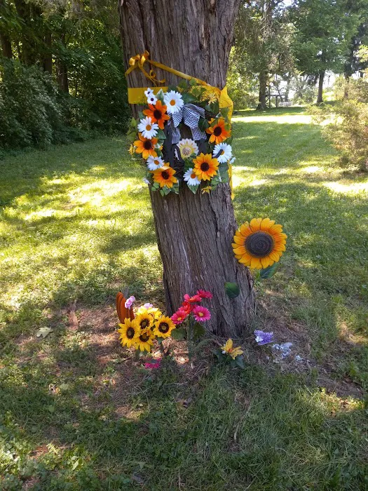 Country Acres MHC Picture 1