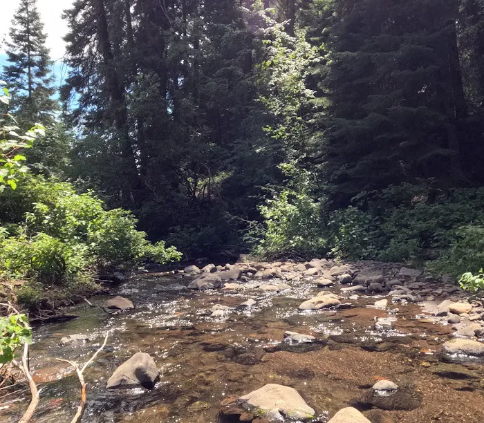 MANN CREEK CAMPGROUND Picture 10