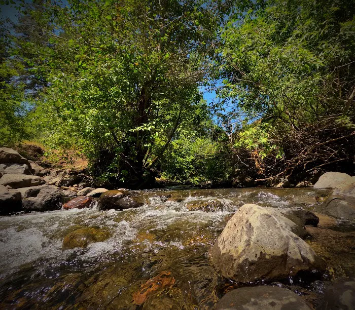 MANN CREEK CAMPGROUND Picture 4