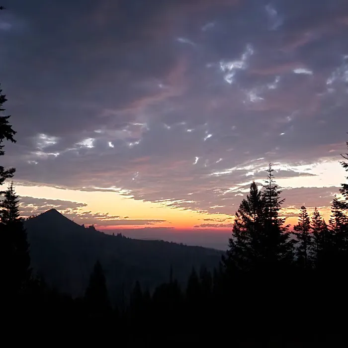 Bassar Diggins Picture 7