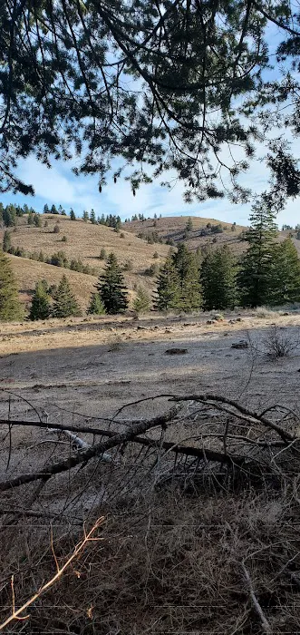 Bassar Diggins Picture 10