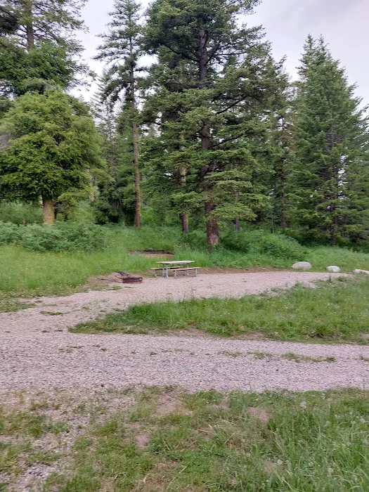 Bassar Diggins Picture 3