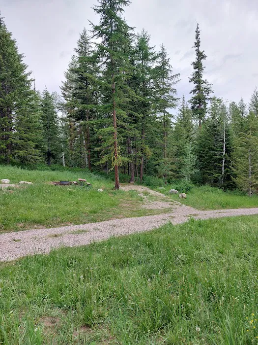 Bassar Diggins Picture 2