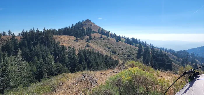 Bassar Diggins Picture 8