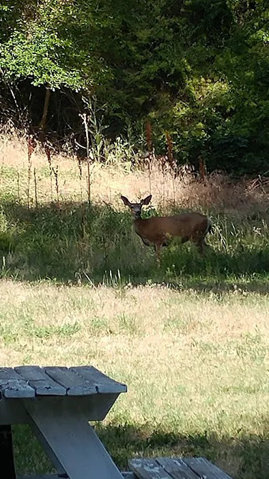 Lost Dutchmans Campground Picture 7