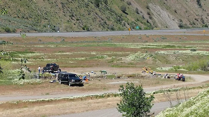 Lost Dutchmans Campground Picture 9