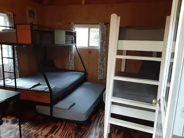 Three Springs Campground and RV Park Picture 2