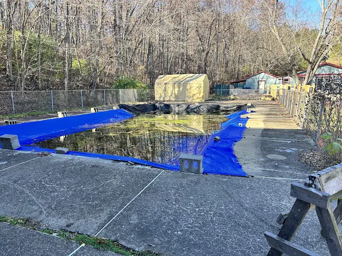 Three Springs Campground and RV Park Picture 3