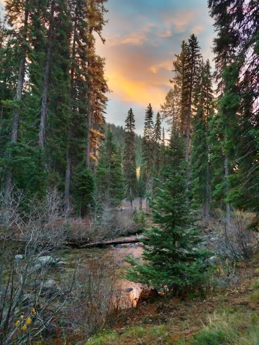 Two Color Campground Picture 9