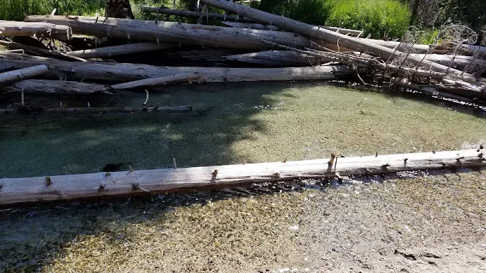 Two Color Campground Picture 2