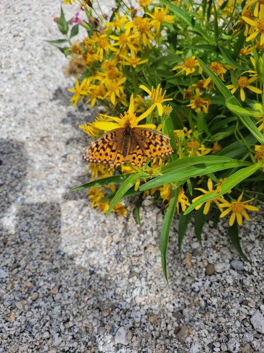 Boulder Park Campground Picture 3