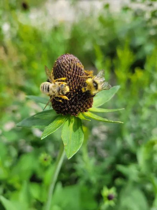 Boulder Park Campground Picture 1