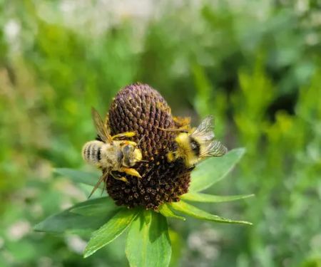 Boulder Park Campground