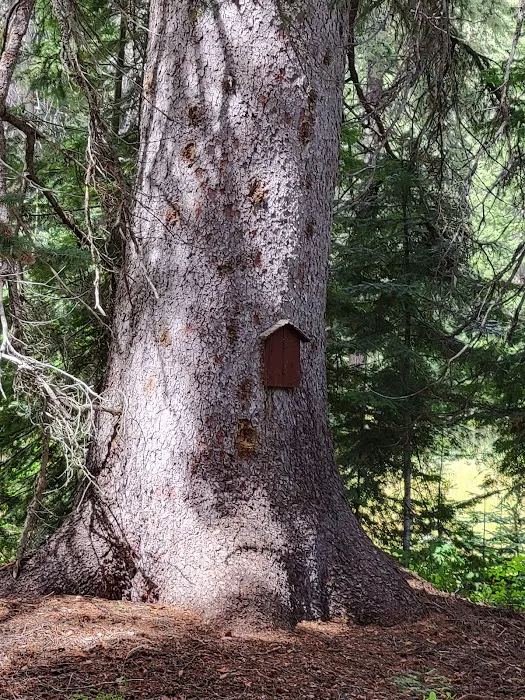 Boulder Park Campground Picture 4