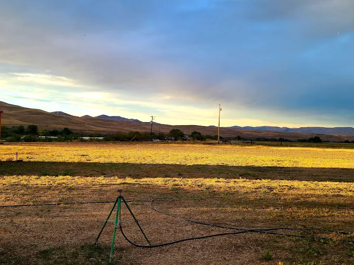 Oasis On The Snake Picture 3