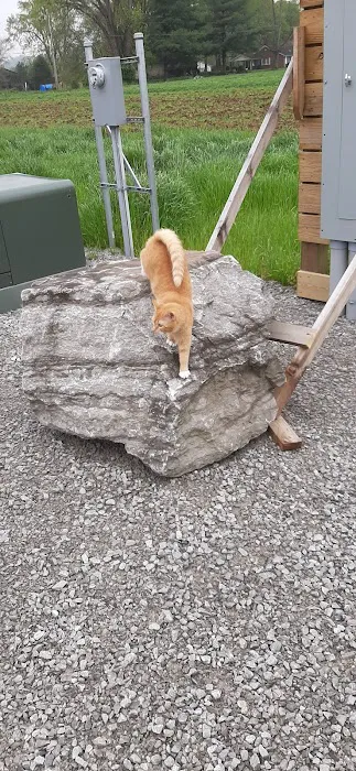 Ghent RV Park Picture 7