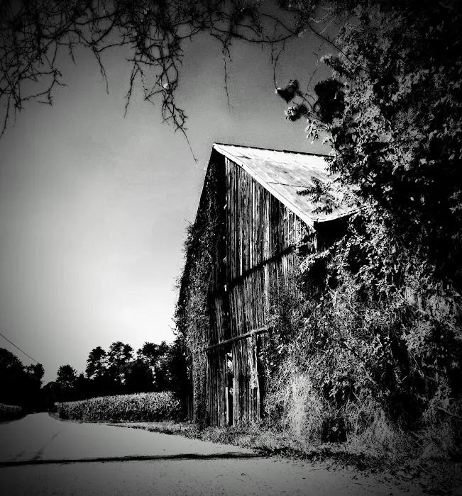 Ghent RV Park Picture 9